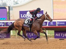 The last time Echo Zulu ran came in this Breeders' Cup Juvenile Fillies romp at Del Mar in November. She returns Saturday as the 3/5 morning line favorite for the Grade 2 Fair Grounds Oaks. (Image: Benoit Photo)