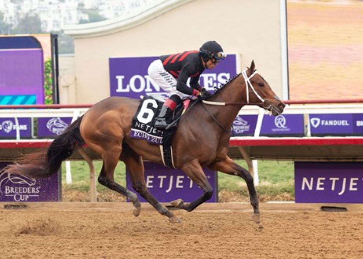 Echo Zulu-Fair Grounds Oaks