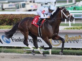 Emmanuel won this December debut by daylight. He makes his anticipated stakes debut in Saturday's Grade 2 Fountain of Youth at Gulfstream Park. (Image: Coglianese Photos/Ryan Thompson)
