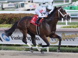 Emmanuel won this December debut by daylight. He makes his anticipated stakes debut in Saturday's Grade 2 Fountain of Youth at Gulfstream Park. (Image: Coglianese Photos/Ryan Thompson)