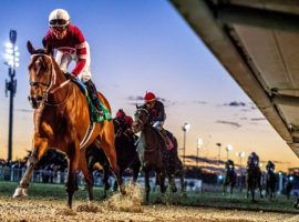 Epicenter pulled away from his rivals in last month's Grade 2 Risen Star. He is the 7/5 morning line favorite for Fair Grounds' signature race: the Grade 2 Louisiana Derby. (Image: Hodges Photography/Amanda Hodges Weir)