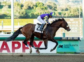 Express Train is the 8/5 favorite to win his first Grade 1 in Saturday's Santa Anita Handicap. (Image: Benoit Photo)