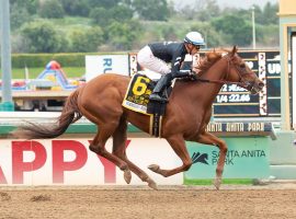 Forbidden Kingdom was a formidable presence in Saturday's Grade 2 San Felipe Stakes. His 5 3/4-length romp sent trainer Richard Mandella to the Kentucky Derby for the first time since 2004. (Image: Benoit Photo)