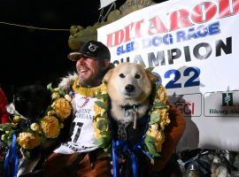 Brent Sass posses with his lead dogs Morello and Slater at the finish line in Nome after winning the 2022 Iditarod. (Image: Anne Raup/ADN)