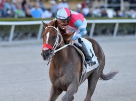 Jockey Paco Lopez, here piloting In Due TIme to a February allowance win, was suspended for 14 race days for his careless ride in last Saturday's Fountain of Youth at Gulfstream Park. (Image: Coglianese Photos/Ryan Thompson)