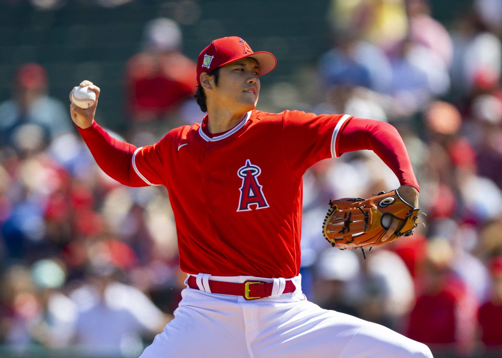 MVP odds Ohtani Soto