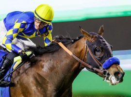 PInehurst and Flavien Prat won the Saudi Derby a month ago. They'll go for the Middle East double in Saturday's UAE Derby at Meydan Racecourse in Dubai. (Image: Jockey Club of Saudi Arabia/Douglas de Felice)