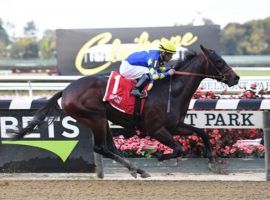 Nashua winner and California-based Rockefeller returns to Aqueduct for the Grade 3 Gotham Stakes, the fourth race on the Cross Country Pick 5. (Image: Coglianese Photos)