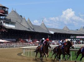 Summer at Saratoga features 77 stakes races worth $22.6 million over 40 days. (Image: Chelsea Durand)