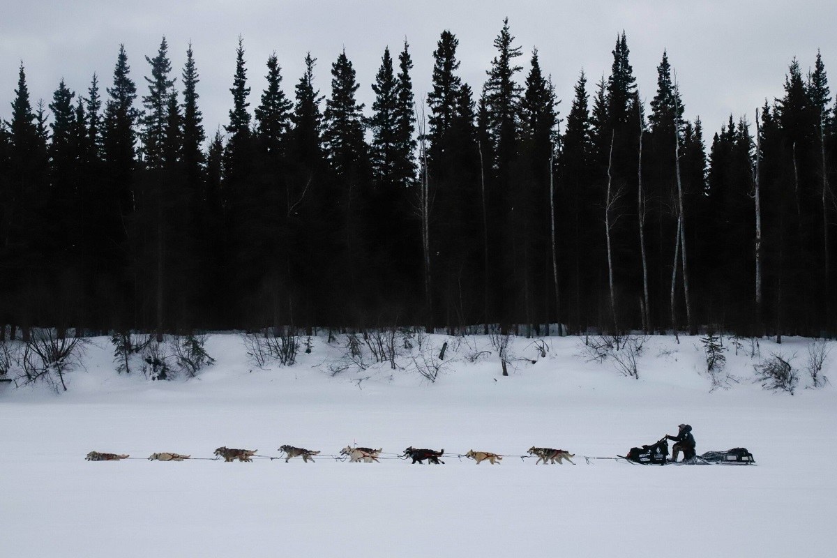 2022 Iditarod Dallas Seavey Brent Sass