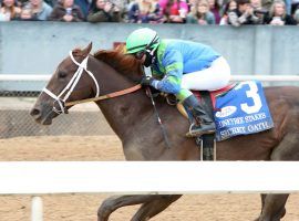 Secret Oath won her last race, the Grade 3 Honeybee Stakes, by 7 1/2 lengths. Hall of Fame trainer D. Wayne Lukas will run the standout filly against colts in the Grade 1 Arkansas Derby April 2. (Image: Coady Photography)