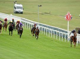 At 25/1, Serpentine blew away the field in the 2020 Epsom Derby. He became the first Derby champion in more than 100 years to be gelded. (Image: Bill Selwyn)