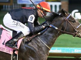 Smile Happy is the 6/1 individual favorite for the Kentucky Derby Future Wager Pool 4. (Image: Coady Photography/Churchill Downs)