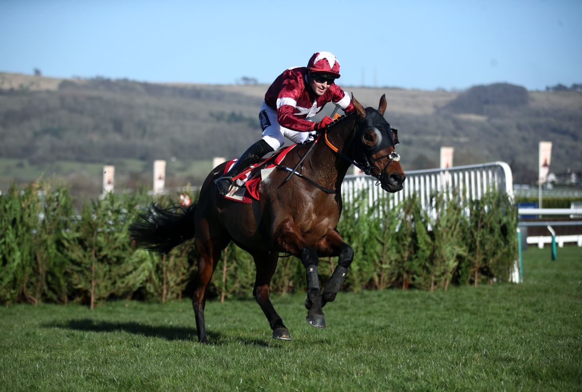 Tiger Roll-Cheltenham Retirement