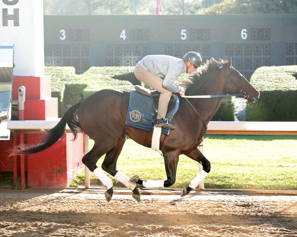 We the People-Arkansas Derby