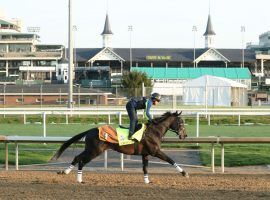 Kentucky Derby hopeful Crown Pride should offer juicy odds on numerous wagers you can find on the Kentucky Derby/Oaks wagering menu. Churchill Downs unveiled several bets unique to Derby/Oaks weekend. (Image: Churchill Downs/Coady Photography)