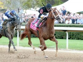 Cyberknife captured the Arkansas Derby Saturday, vaulting him into the Kentucky Derby. (Image: Coady Photography)