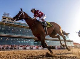 Louisiana Derby winner Epicenter took 5/1 favored status going into the final Kentucky Derby Future Wager pool. That pool ends Saturday before the final major Derby preps begin. (Image: Hodges Photography/Amanda Hodges Weir)