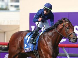 Golden Pal, seen here winning his second Breeders' Cup title in as many years, is one of Wesley Ward's top hopes for a stakes title on Keeneland's opening weekend. (Image: Coolmore Stud)