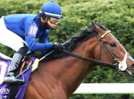 Golden Pal and Irad Ortiz Jr. won their sixth race in seven starts Saturday, blowing away the Grade 2 Shakertown by nearly five lengths. The two-time Breeders' Cup champion will run next at Royal Ascot in June. (Image: Keeneland/Coady)