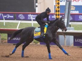Medina Spirit warming up before his final race: the 2021 Breeders' Cup Classic at Del Mar. The Bob Baffert trainee died in December, nearly five months before Baffert lost a final legal appeal to stay his 90-day suspension. (Image: Anne M. Eberhardt)