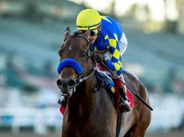 Messier has the fastest Beyer Speed Figure of any 3-year-old this season. He is racing for Kentucky Derby points for the first time in Saturday's Grade 1 Santa Anita Derby. (Image: Benoit Photo)