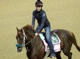 Secret Oath works out before next week's Kentucky Oaks. But could she run against the boys again in the Preakness Stakes two weeks after that? (Image: Churchill Downs/Coady Photography)