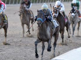 Simplification rolled past his rivals in the Grade 2 Fountain of Youth last month. He is the 5/2 morning line favorite for Saturday's Grade 1 Florida Derby. (Image: Coglianese Photos/Ryan Thompson)