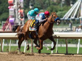 Taiba reeled in and caught stablemate Messier in deep stretch of Saturday's Grade 1 Santa Anita Derby. The victory brought him into the Kentucky Derby after only two starts. (Image: Benoit Photo)