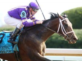 Tawny Port and Florent Geroux captured the final Kentucky Derby prep: the Grade 3 Lexington Stakes at Keeneland Saturday. That vaulted the colt from 20th to 11th on the final points ladder. (Image: Keeneland/Coady Photography)