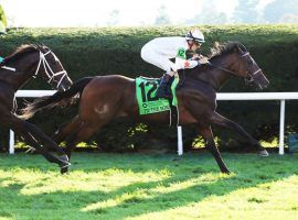 Tiz the Bomb will run the Kentucky Derby, according to his trainer, Kenny McPeek. He still may run in one of the European 3-year-old classics. (Image: Coady Photography)