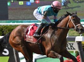 Vault won last year's Ruffian Stakes, which returns Sunday, May 8. That makes it eligible for the NYRA Triple Play Pick 3, which covers the final three races on Belmont Park's Sunday cards. (Image: NYRA/Coglianese Photos)