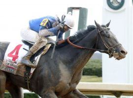 Zandon captured the Grade 1 Blue Grass Stakes shortly after he closed at 18/1 in the final Kentucky Derby Future Wager pool. (Image: Keeneland/Coady Photography)