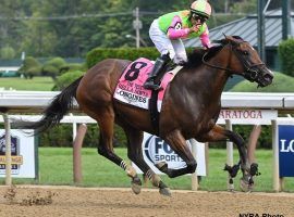 Bella Sofia captured the Grade 1 Test Stakes last summer at Saratoga. She is one to watch in the Cross Country Pick 5's opening leg -- the Vagrancy Stakes. (Image: NYRA Photo)