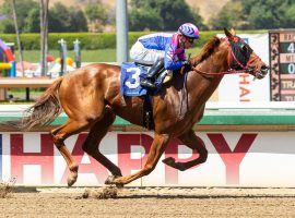 Brickyard Ride rides for five consecutive stakes wins in Sunday's Grade 2 Triple Bend Stakes at Santa Anita Park. (Image: Benoit Photo)