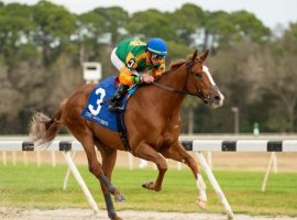 Classic Causeway won three of his first five races, including this Sam F. Davis score. But after finishing 11th in his last two -- including the Kentucky Derby -- his owners moved him to Kenny McPeek's barn. (Image: Margaux Farm)