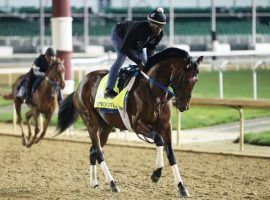 Now that he's in the 147th Preakness Stakes, Epicenter will be the presumptive favorite -- even after his Kentucky Derby runner-up finish. (Image: Churchill Downs/Coady Photography)