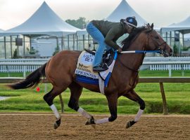 As the 6/5 favorite, Epicenter looked to be the horse to beat in Saturday's Preakness Stakes. Instead a bad start and poor tactics resulted in his second runner-up finish in as many Triple Crown races. (Image: Maryland Jockey Club)