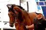 Epicenter Ready to Turn the Page to a New Chapter at Preakness