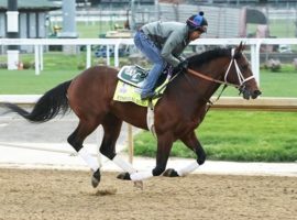 Ethereal Road was a late Kentucky Derby scratch who won't run the Preakness Stakes either. He is entered in the undercard Sir Barton with an eye toward the Belmont Stakes. (Image: Coady Photography)