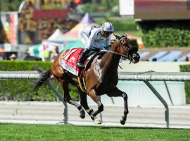 Going Global is an 8/5 favorite in the Grade 1 Gamely Stakes, which makes her a tempting single for Santa Anita's Rainbow Six jackpot wager. That pool is expected to hit $5 million. (Image: Benoit Photo)