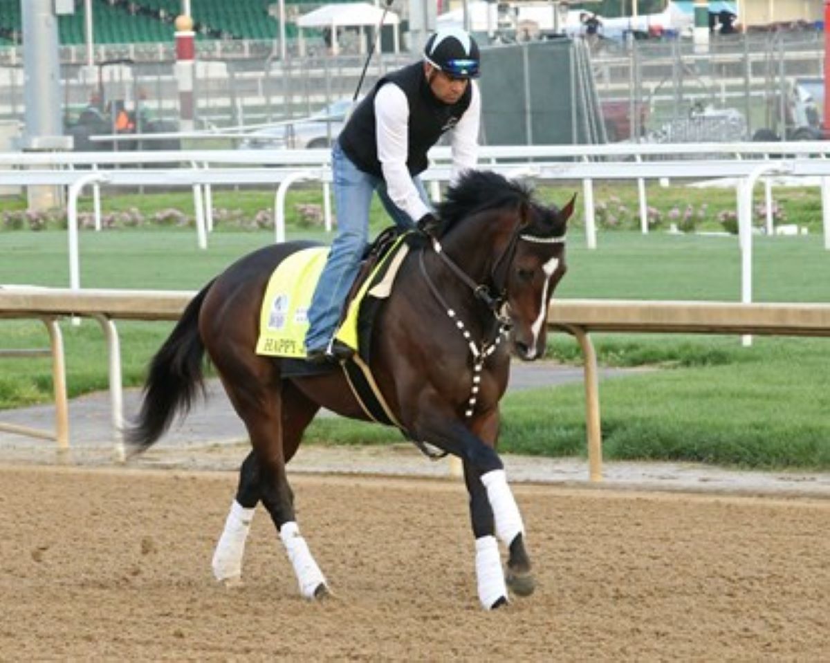 Happy Jack-Preakness