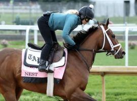 In an incredibly deep and talented field, Nest is the 5/2 morning-line favorite for Saturday's Grade 1 Kentucky Oaks. (Image: Churchill Downs/Coady Photography)