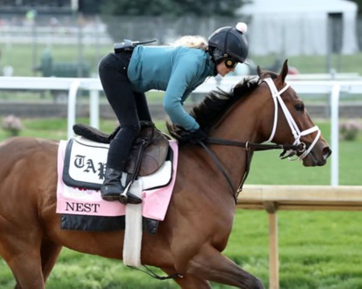 Nest-Kentucky Oaks