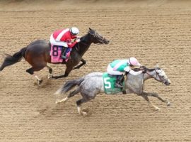 Before the Breeders' Cup Dirt Dozen program was announced, Obligatory (5) captured the first race of the new incentive-based program: the Derby City Distaff. (Image: Coady Photography)