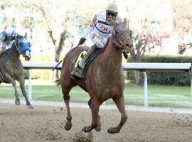 David Cabrera's biggest victory of the year came aboard Rated R Superstar in the Essex Handicap. The 29-year-old Cabrera survived a brutal spill to win his first Oaklawn Park riding title. Image: Coady Photography)