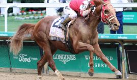 Kentucky Derby champion Rich Strike had his first workout since winning the May 7 Run for the Roses the same day as the Preakness Stakes his connections passed. He will have one more Churchill Downs workout before going to New York for the Belmont Stakes. (Image: Churchill Downs/Coady Photography)