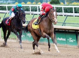 Sconsin returns from her 8 1/2-month winter break to defend her title in Monday's Grade 3 Winning Colors at Churchill Downs. (Image: Churchill Downs/Coady Photography)