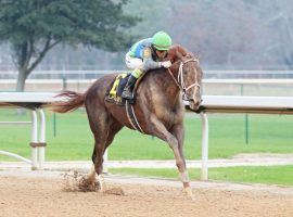 Secret Oath was the first Oaklawn Park-based horse to win the Kentucky Oaks since Rachel Alexandra in 2009. Now, the filly will attempt to duplicate that remarkable filly's Preakness Stakes win that year. (Image: Coady Photography)