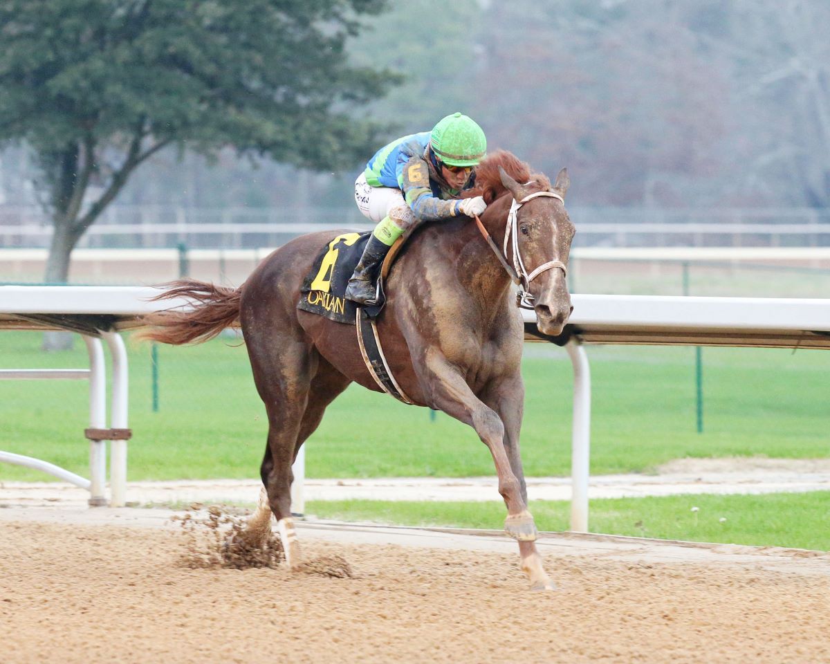 Secret Oath-Preakness